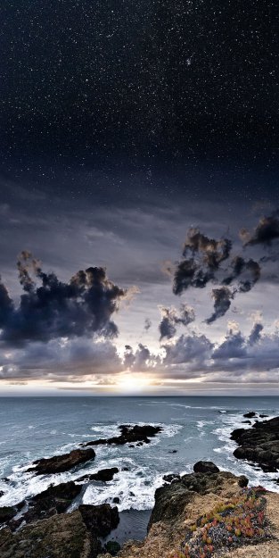 ������������ ��������