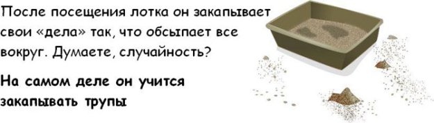 ��� ������, ��� ��� ��� ���������� ��� �����