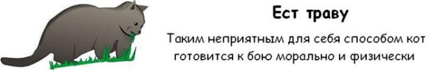 ��� ������, ��� ��� ��� ���������� ��� �����