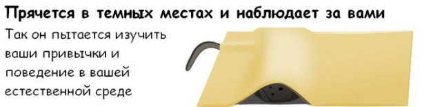 ��� ������, ��� ��� ��� ���������� ��� �����