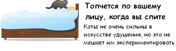 ��� ������, ��� ��� ��� ���������� ��� �����