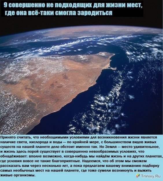 9 ������� ���� ����� �������, ��� ���������� ���������� �����