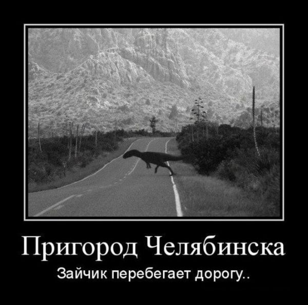 Размещенное изображение
