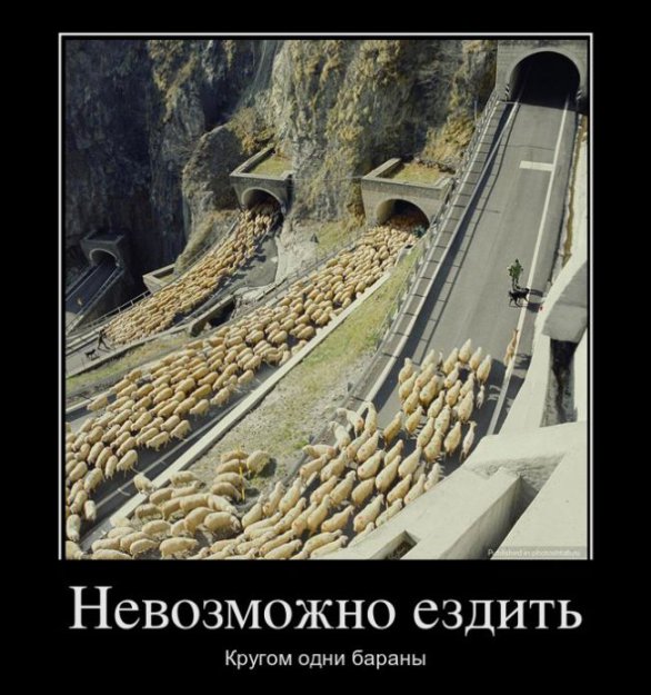 Размещенное изображение