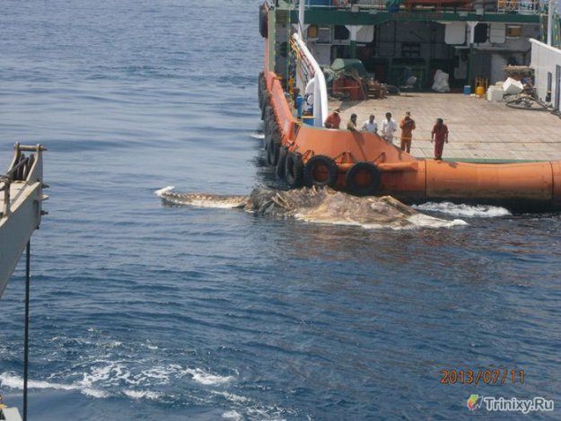 �������� �������� � ��������� ������