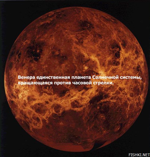 Вопросы ухода за новорожденным ребенком Вопросы ухода за новорожденным ребенком