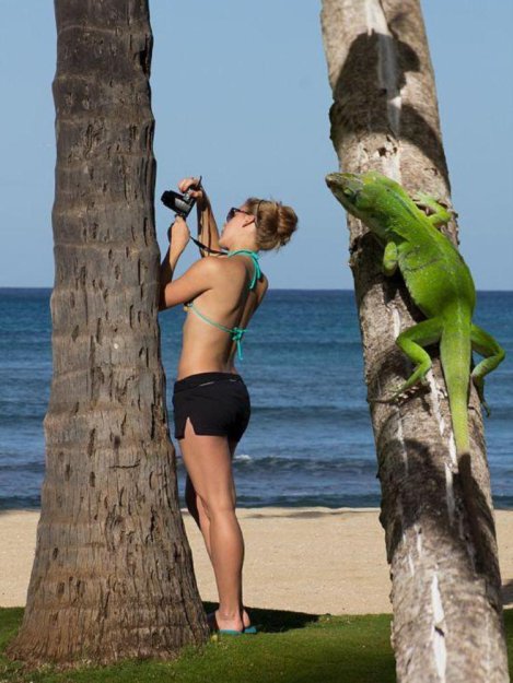 ������ ����