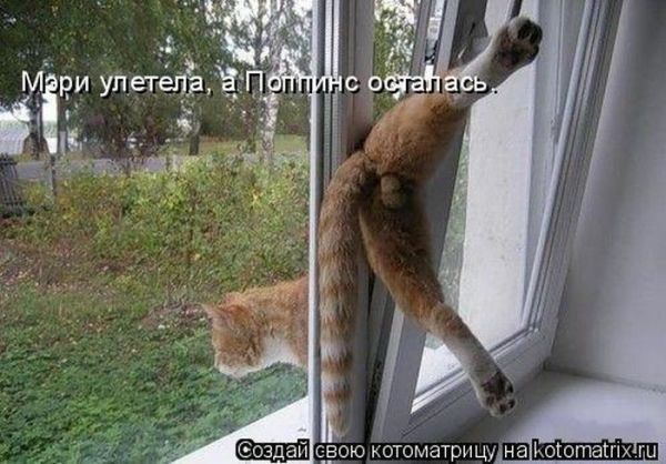 Размещенное изображение