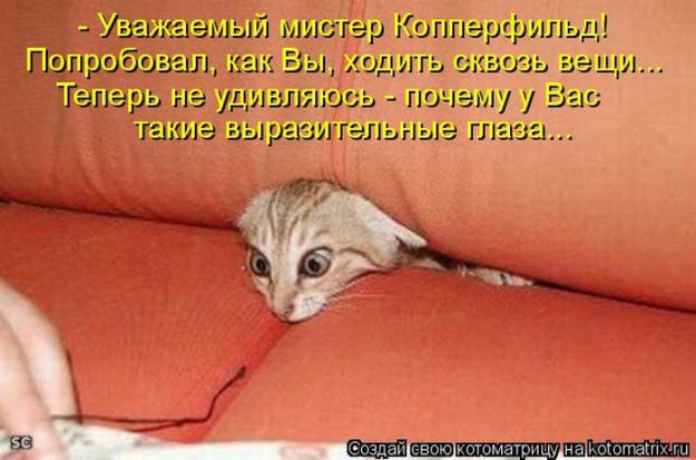 Размещенное изображение