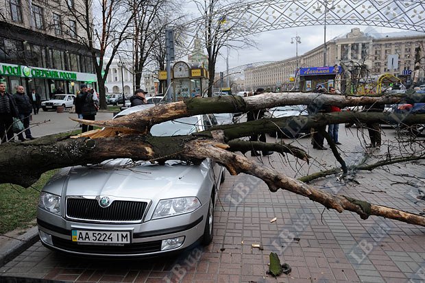 На Крещатике ветер повалил дерево на три автомобиля