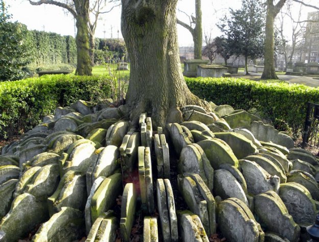 Надгробия у дерева (Лондонская достопримечательность)