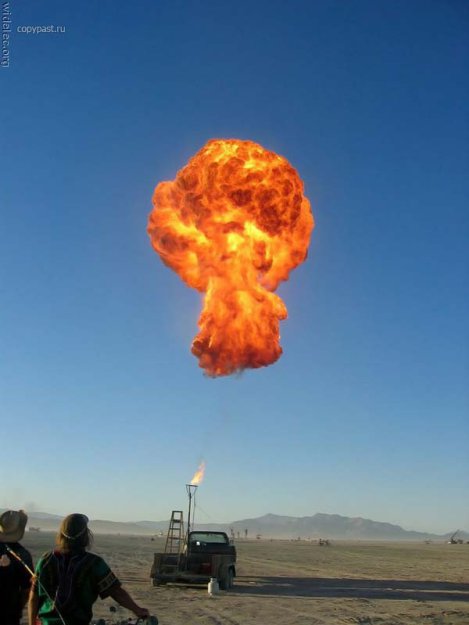 ���� ����