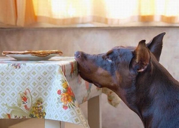 ������, ��� ������ ����������. ����� 22