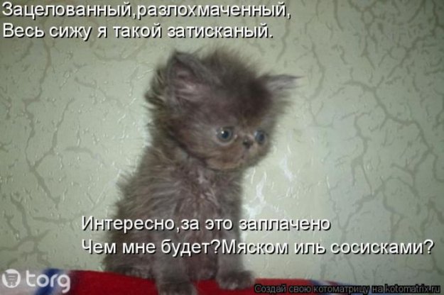 ������ ����������� ������
