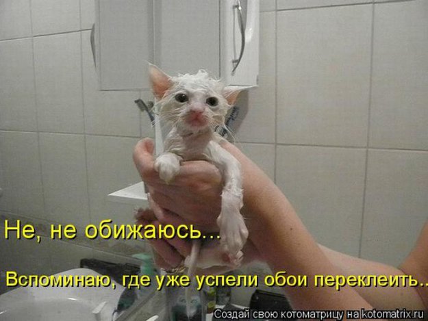 ������ ����������� ������