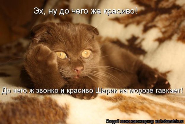 ������ ����������� ������