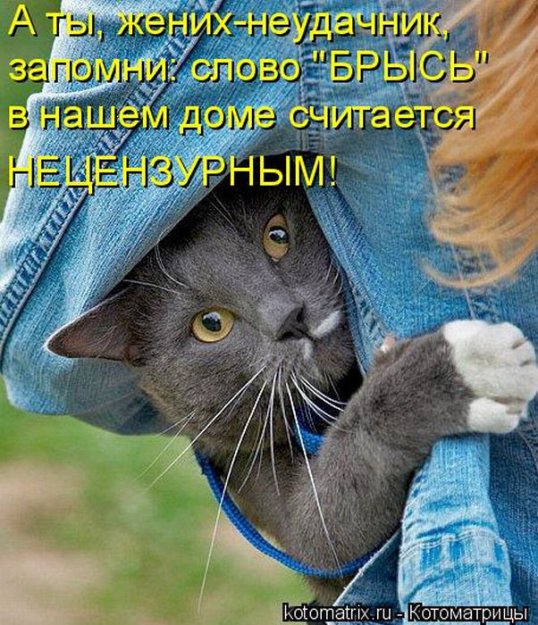 ������ ����������� ������