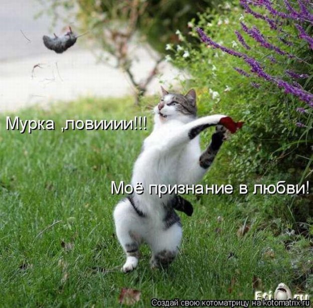 ������ ����������� ������