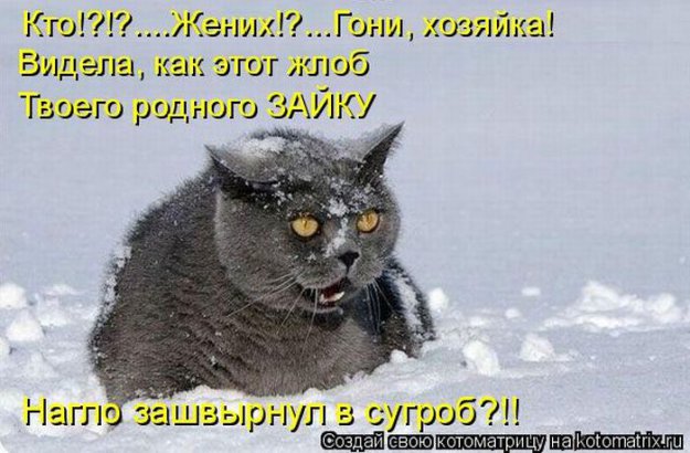 ������ ����������� ������
