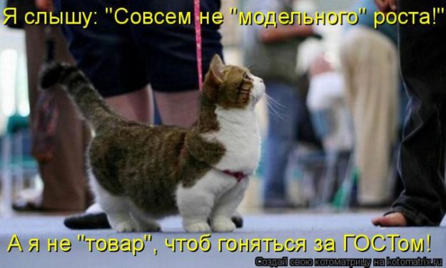 ������ ����������� ������
