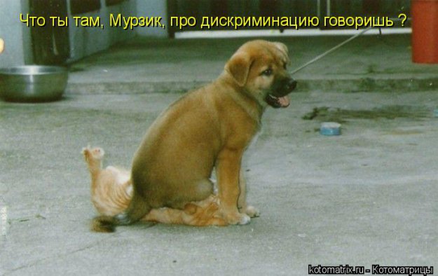Фотоприколы