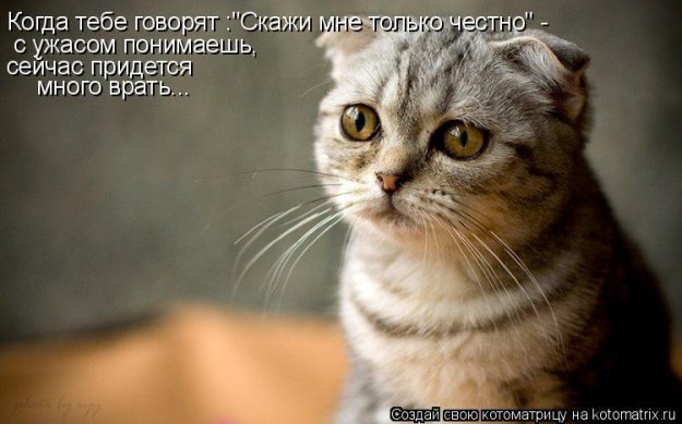 Фотоприколы