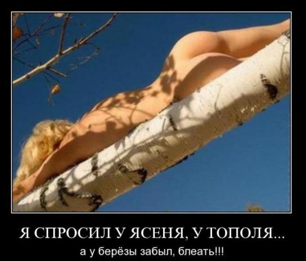 Подборка приколов..Однако 2