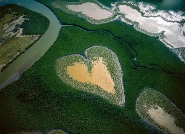          - (Yann Arthus-Bertrand).