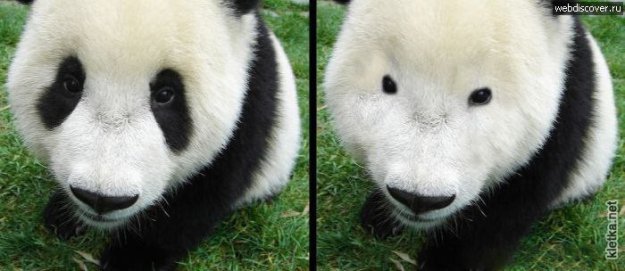 ������ ����