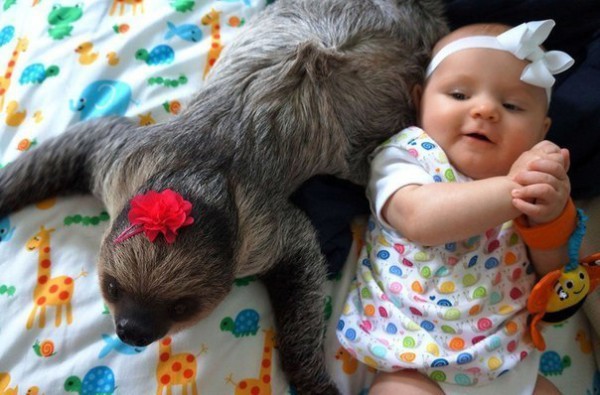 Необычная дружба ребенка и животного