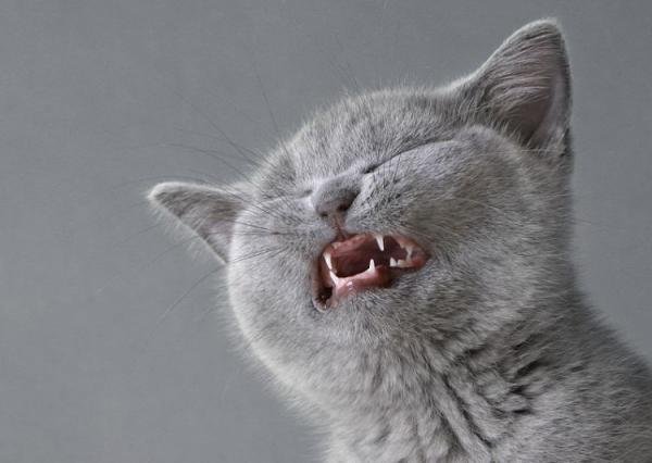 �� ��� �� ����� �� ������?