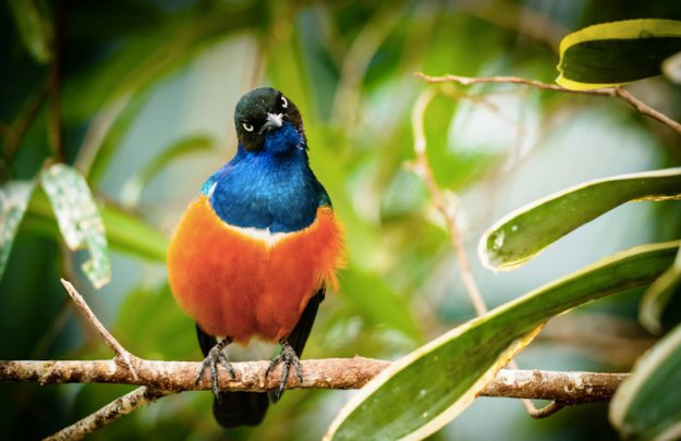 ������� ���.4