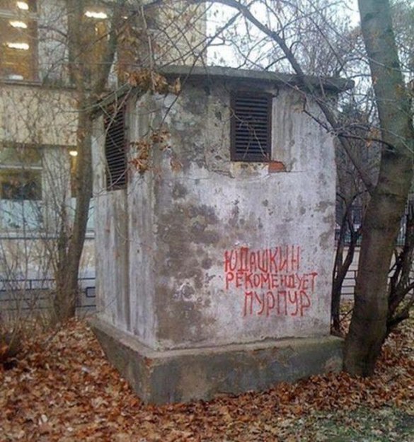 Картинка дня