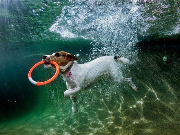 ������ ���������� ���� �� National Geographic