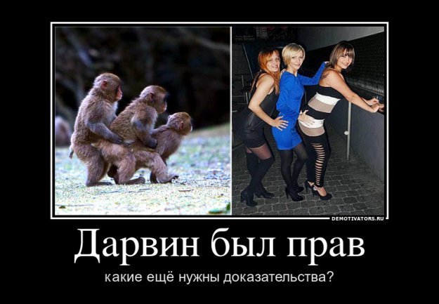 No Comments