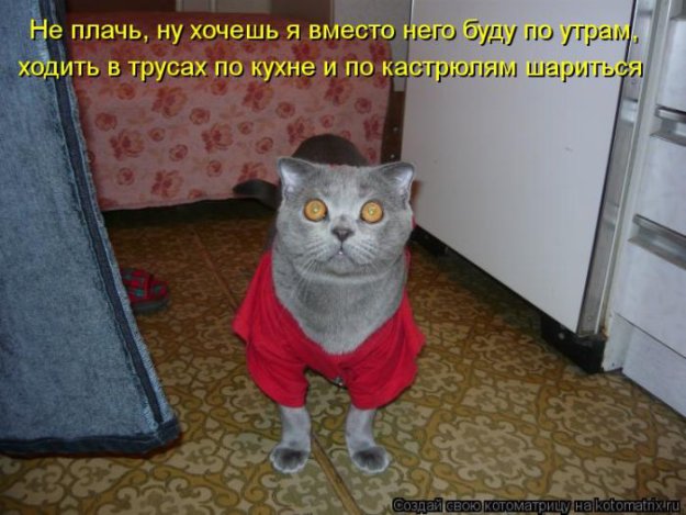 Котоматриця!)))) - Страница 10 228982_525400