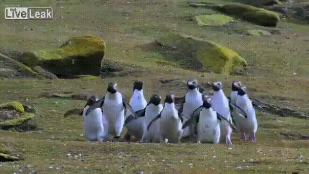 ������, ��� ����!!!!!!!