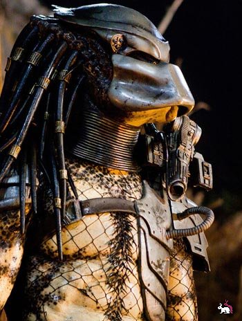 Predator. 