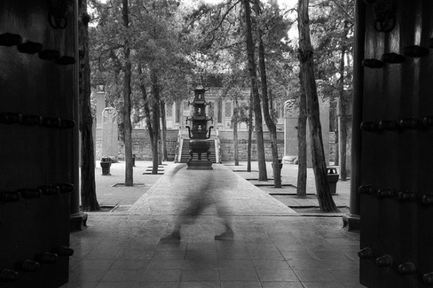 �������� Tomasz Gudzowaty