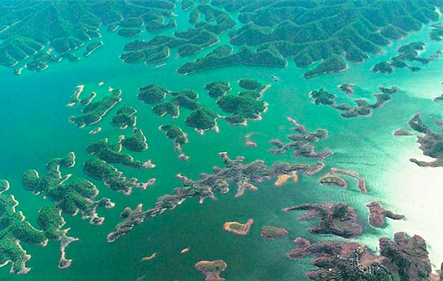 55 ��� ��� �����