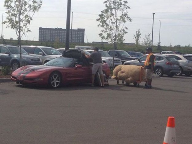 ����� ������� ����� �������