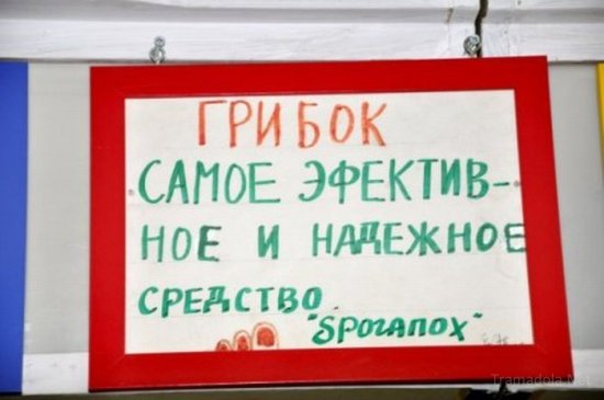 ������ ��� ������� � �����