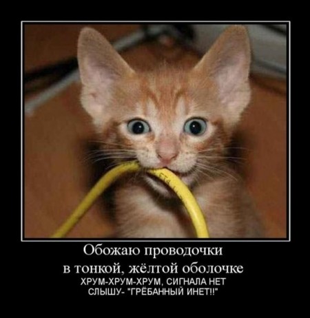Фотоподборка приколов