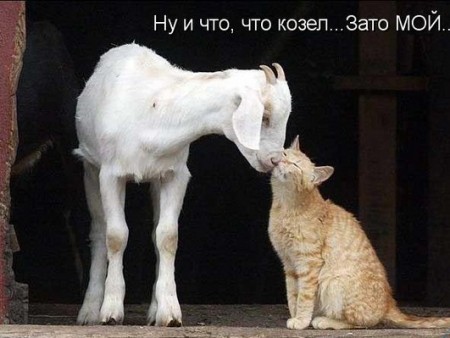 Фотоподборка приколов