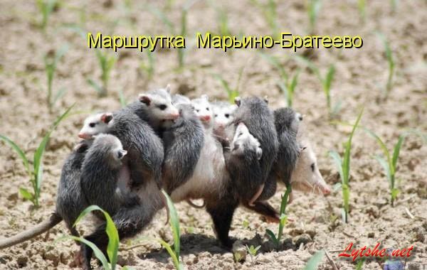 Фотоподборка приколов