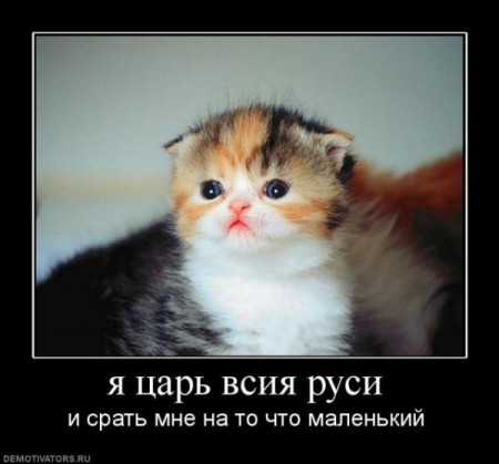 Фотоподборка приколов