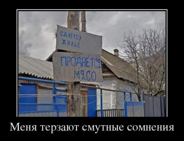 Размещенное изображение