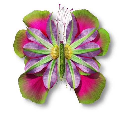 ������� �� ������� ������ Tcherevkoff