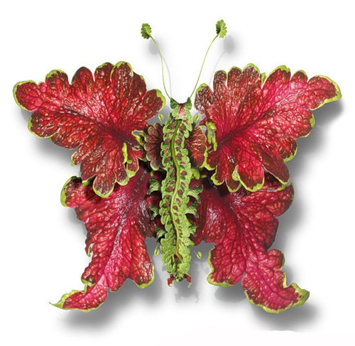 ������� �� ������� ������ Tcherevkoff