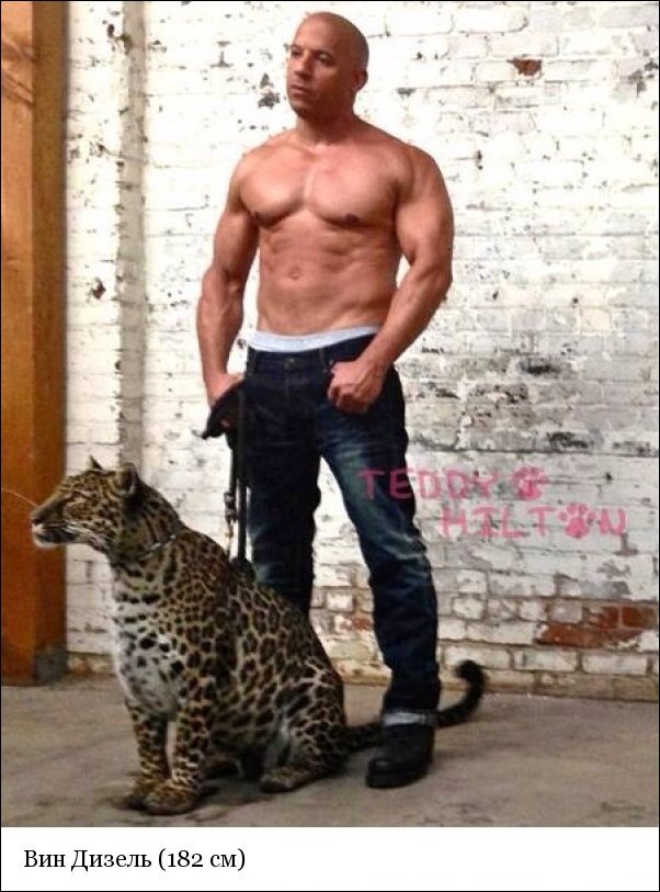 �� ������� �������� ����� �������� ��� �������